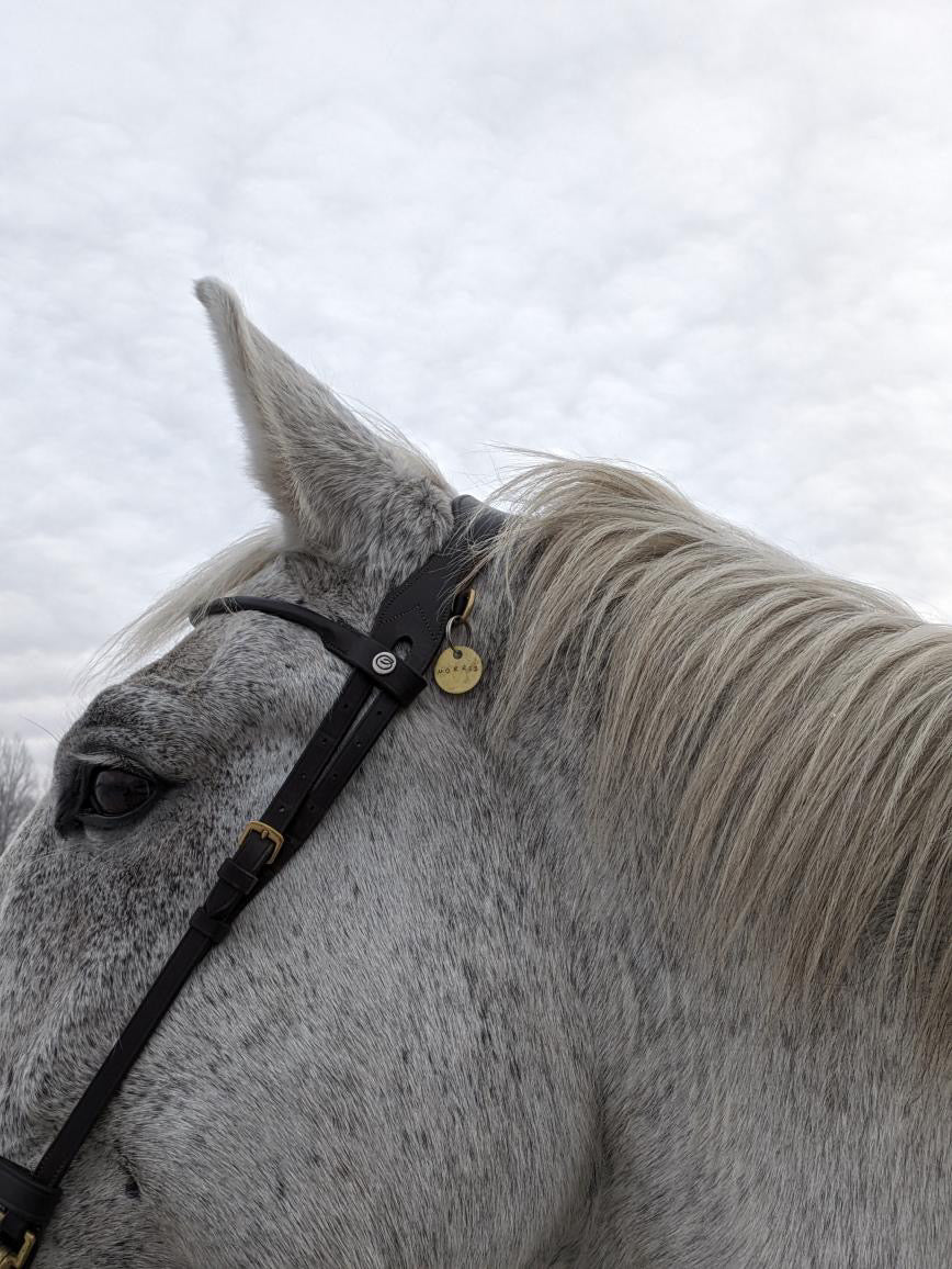 Messing tag med et navn - Work of Equine